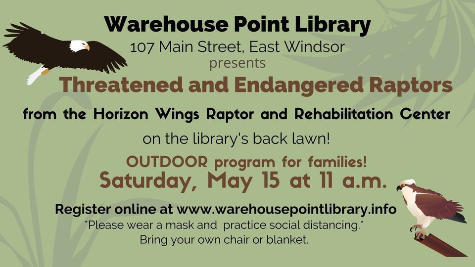 Threatened and Endangered Raptors @ Warehouse Point Library
