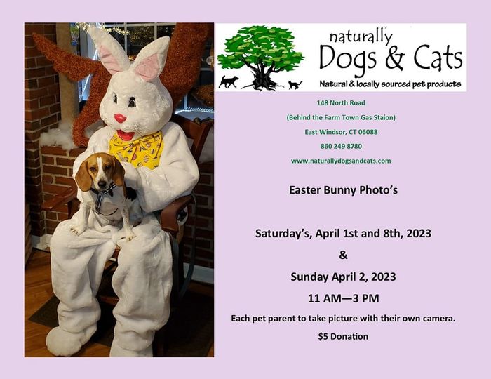 Easter Bunny Photo Shoot @ Naturally Dogs & Cats