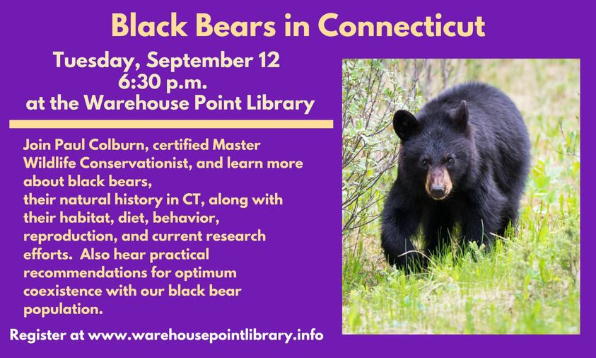 Black Bears in Connecticut @ Warehouse Point Library