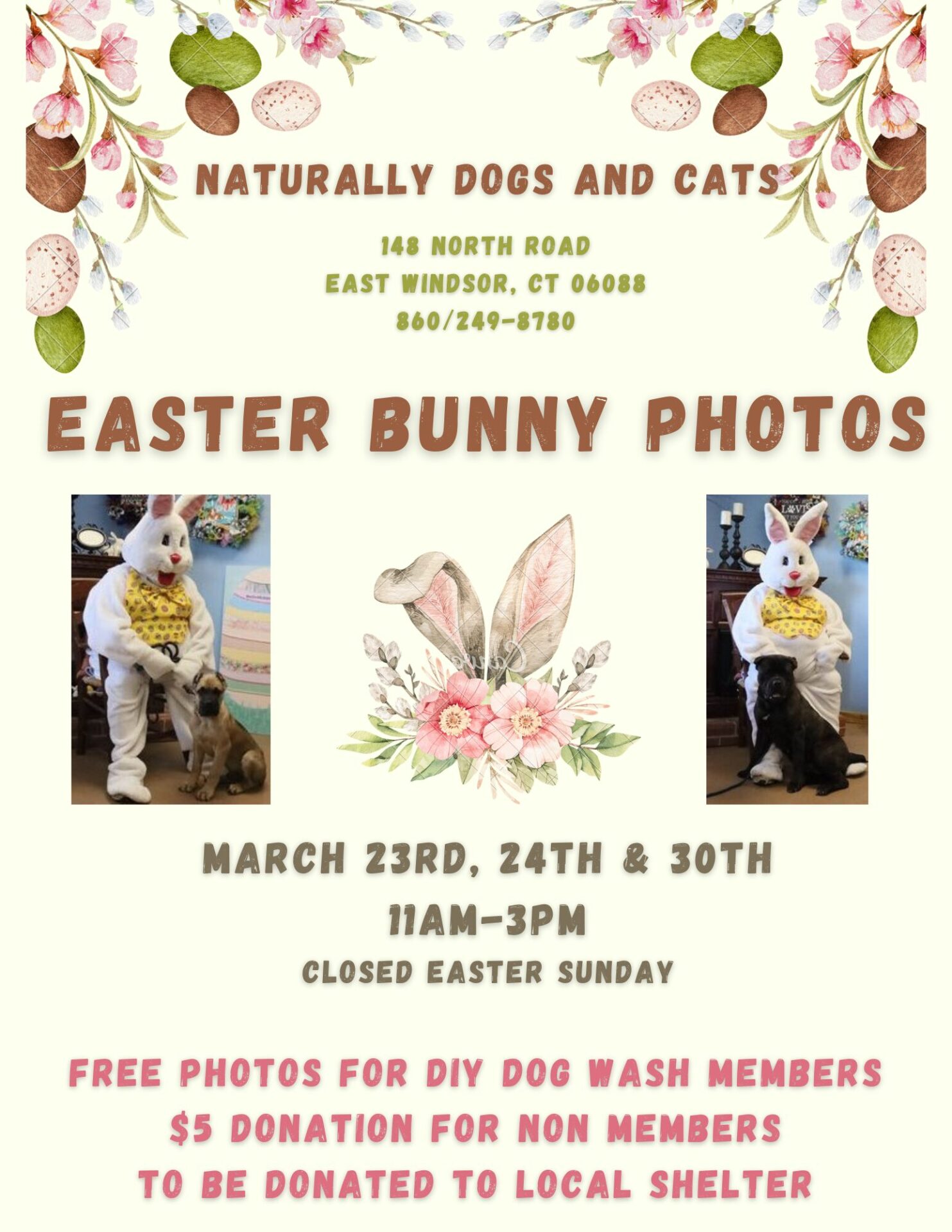 Easter Bunny Photos (For Your Furry Friend) @ Naturally Dogs & Cats (Bassdale Plaza)